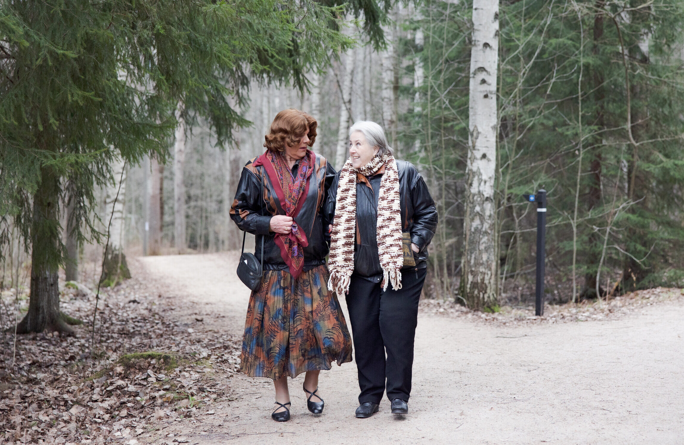 KauKo-hankkeen kuvituskuva